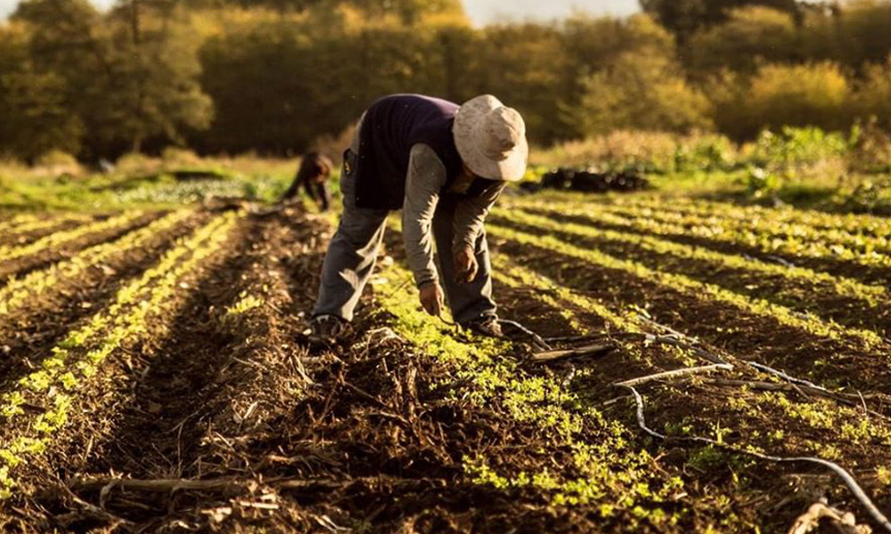 Arraigo y Agroecología: dos leyes para garantizar la soberanía alimentaria  bonaerense - Revista InterNos